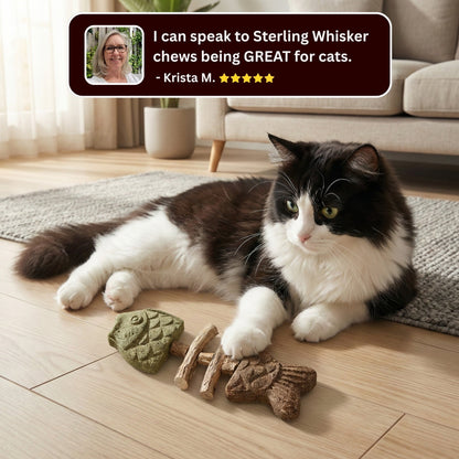 Let Your Cat Brush Their Own Teeth! 🦷🐱Catnip & Silvervine Chew (Buy 1 Get 1 FREE)