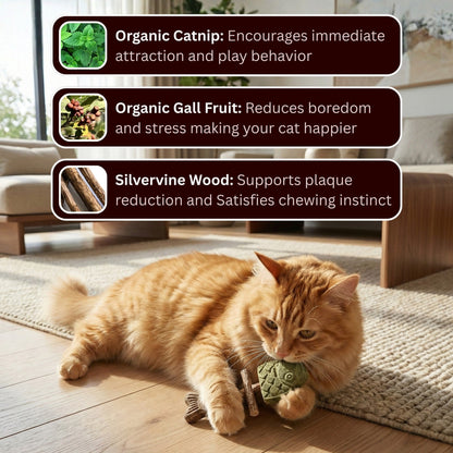 Let Your Cat Brush Their Own Teeth! 🦷🐱Catnip & Silvervine Chew (Buy 1 Get 1 FREE)