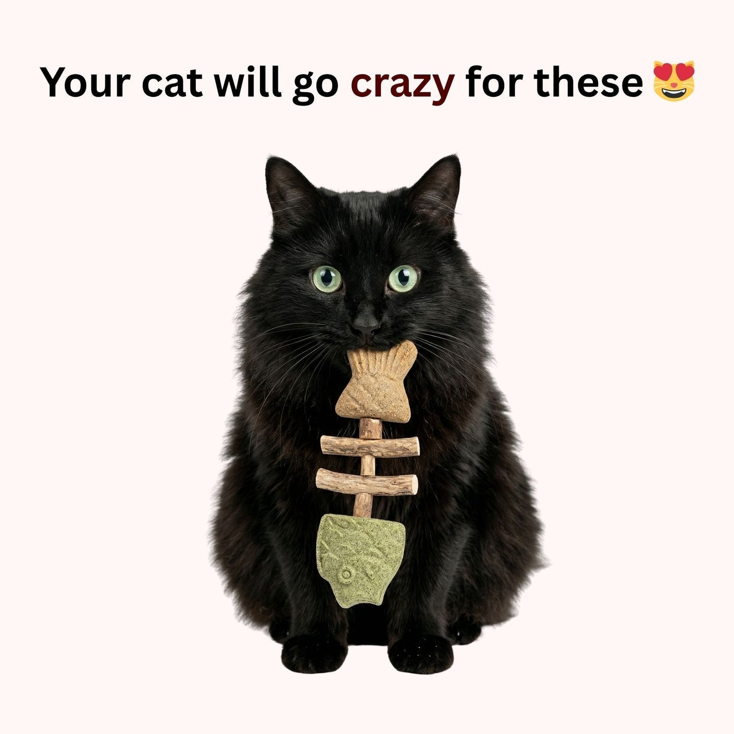 Let Your Cat Brush Their Own Teeth! 🦷🐱Catnip & Silvervine Chew (Buy 1 Get 1 FREE)